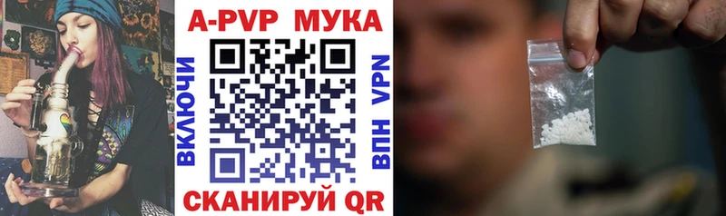 omg ссылка  Баксан  Альфа ПВП СК 