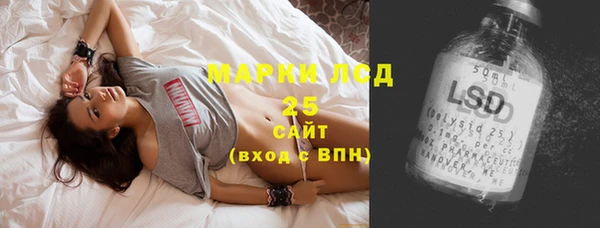 ПСИЛОЦИБИНОВЫЕ ГРИБЫ Баксан