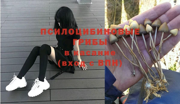 ПСИЛОЦИБИНОВЫЕ ГРИБЫ Баксан
